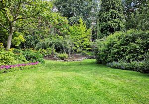 Optimiser l'expérience du jardin à Bergues-sur-Sambre